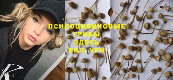мдпв Арсеньев